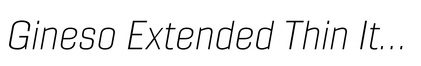 Gineso Extended Thin Italic